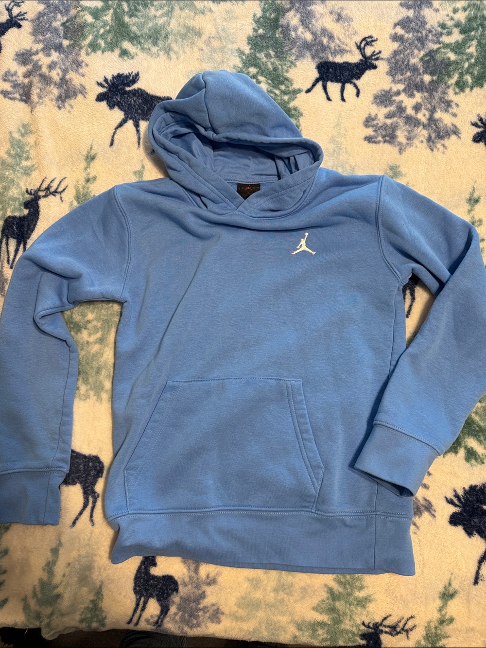 Jordan Light Blue Pullover Hoodie with White Jumpman